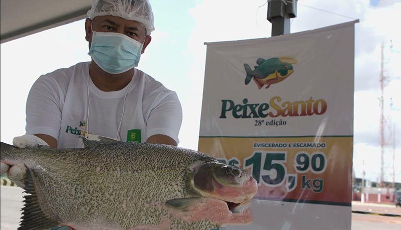 Não ter Peixe Santo significa a falência da gestão Emanuel Pinheiro na prefeitura