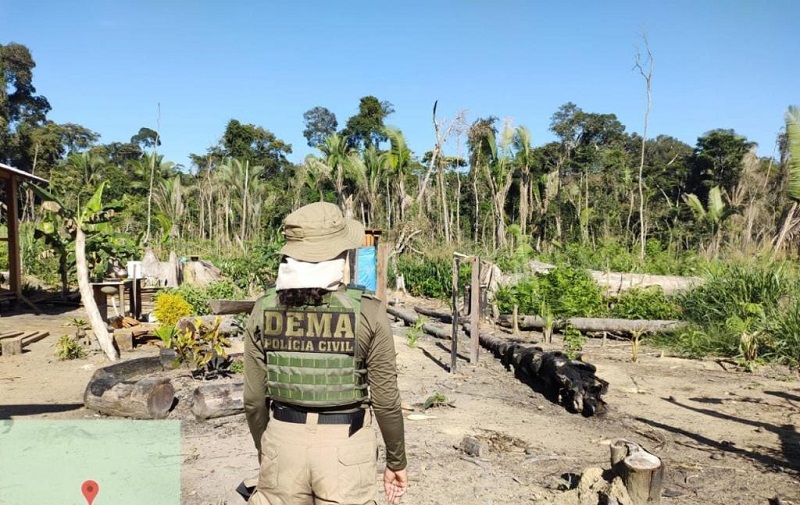 Operação Cordilheira sequestra propriedades e aplica multa de R$ 2,8 bilhões por desmate químico no Pantanal