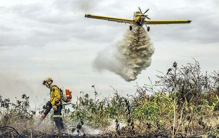 Bombeiros combatem 42 incêndios florestais neste domingo em Mato Grosso