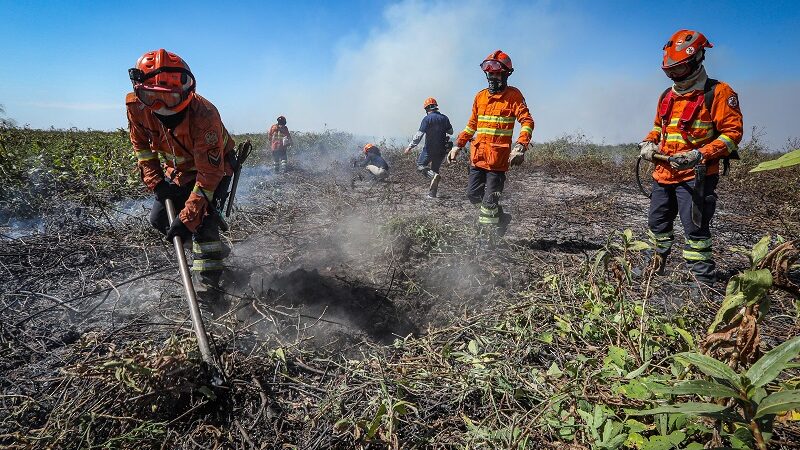 STF suspende processos e decisões sobre combate a queimadas na Amazônia e no Pantanal