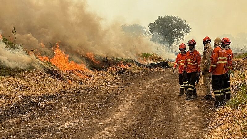 Governador Mauro Mendes diz que Lula precisa de ações concretas para ajudar combater incêndios no Mato Grosso