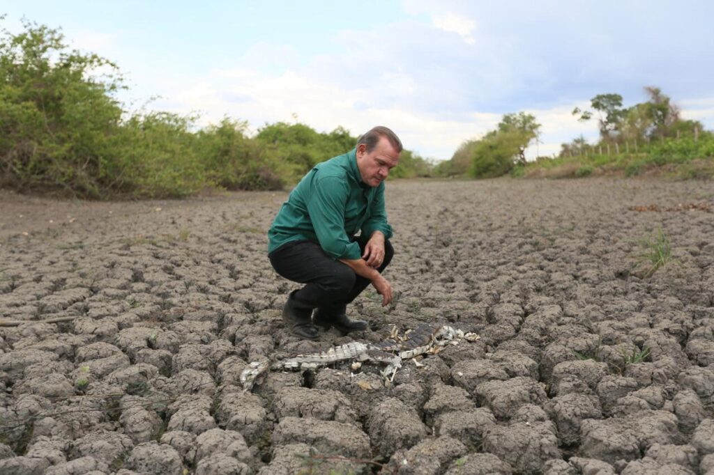 Wellington Fagundes cobra agilidade e ação do Congresso para aprovar uma lei específica para o Estatuto do Pantanal