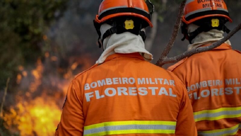 Governo Federal destina 45 milhões para fortalecer combate e prevenção a incêndios no Mato Grosso – Jornal Advogado – Em Mato Grosso