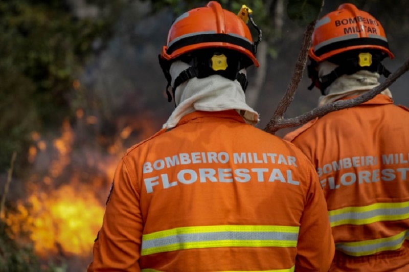 Governo Federal destina 45 milhões para fortalecer combate e prevenção a incêndios no Mato Grosso – Jornal Advogado – Em Mato Grosso